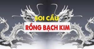 Soi cầu Rồng Bạch Kim là gì?