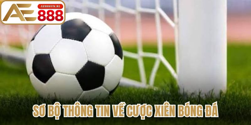 Sơ bộ thông tin về cược xiên bóng đá