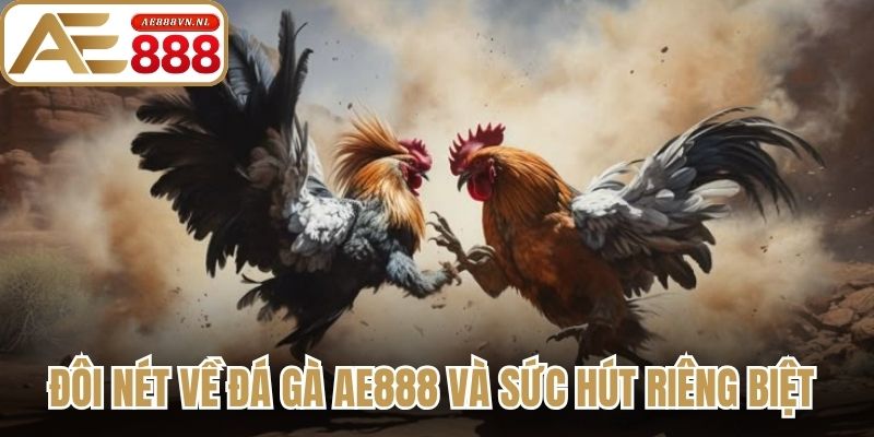 Đôi nét về đá gà Ae888 và sức hút riêng biệt 