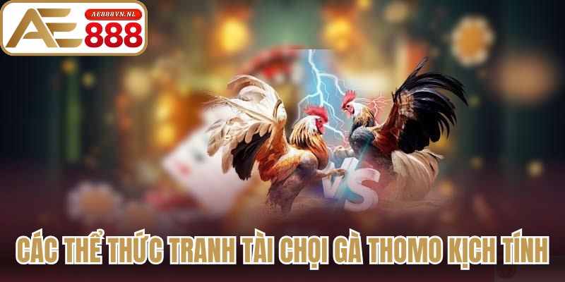 Các thể thức tranh tài chọi gà Thomo kịch tính
