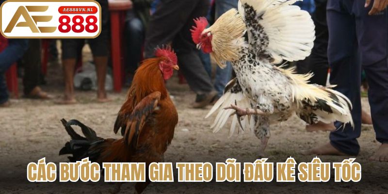 Các bước tham gia theo dõi đấu kê siêu tốc