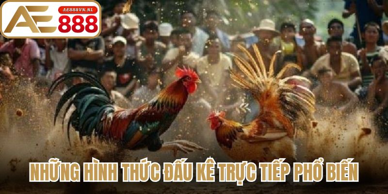 Những hình thức đấu kê trực tiếp phổ biến