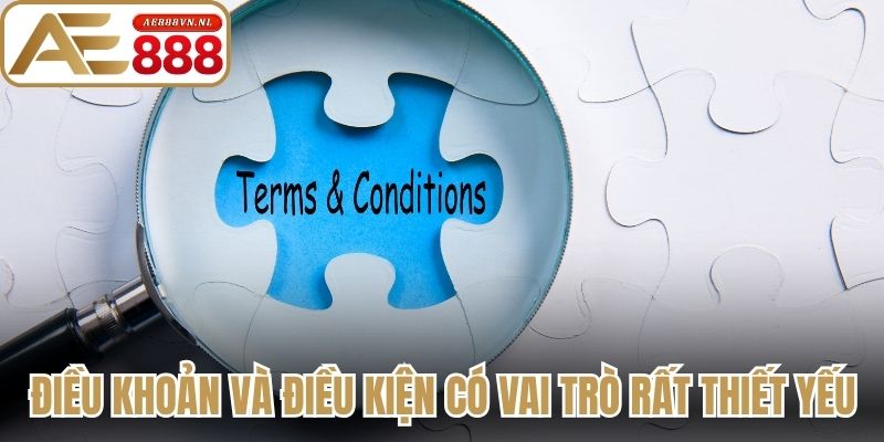 Điều khoản và điều kiện có vai trò rất thiết yếu