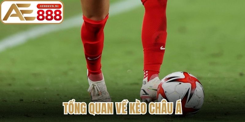 Tổng quan về kèo Châu Á