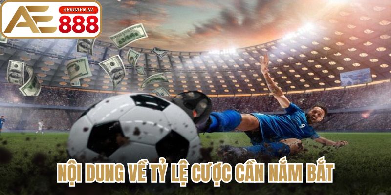Nội dung về tỷ lệ cược cần nắm bắt