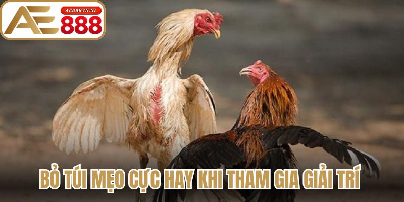 Bỏ túi mẹo cực hay khi tham gia giải trí 