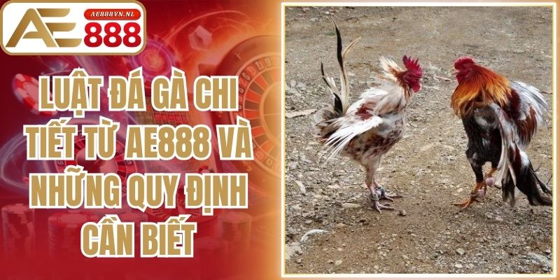 Luật Đá Gà Chi Tiết Từ Ae888 Và Những Quy Định Cần Biết