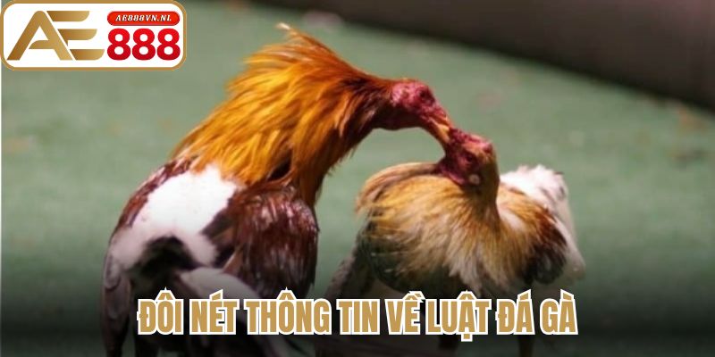 Đôi nét thông tin về luật đá gà