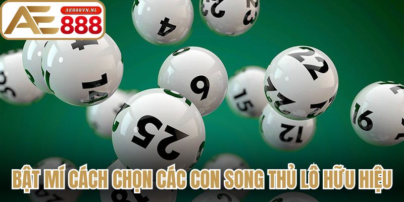 Bật mí cách để chọn các con song thủ lô hữu hiệu
