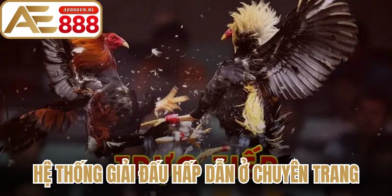 Hệ thống giải đấu hấp dẫn ở chuyên trang