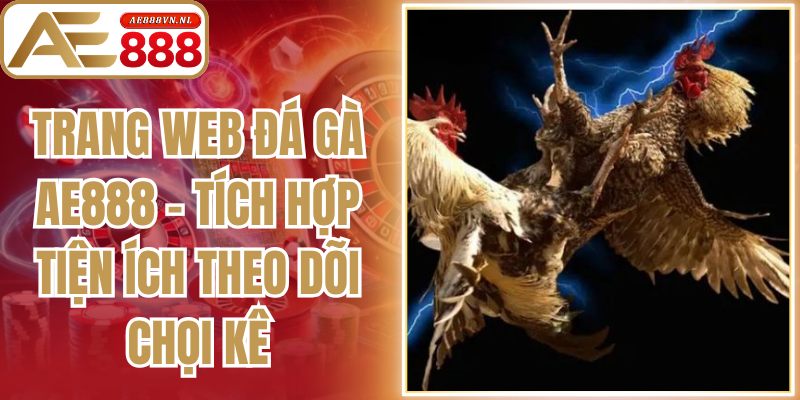 Trang Web Đá Gà Ae888 - Tích Hợp Tiện Ích Theo Dõi Chọi Kê