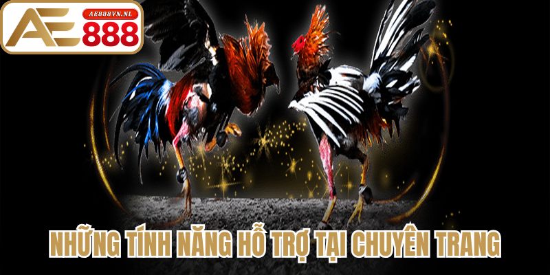 Những tính năng hỗ trợ tại chuyên trang