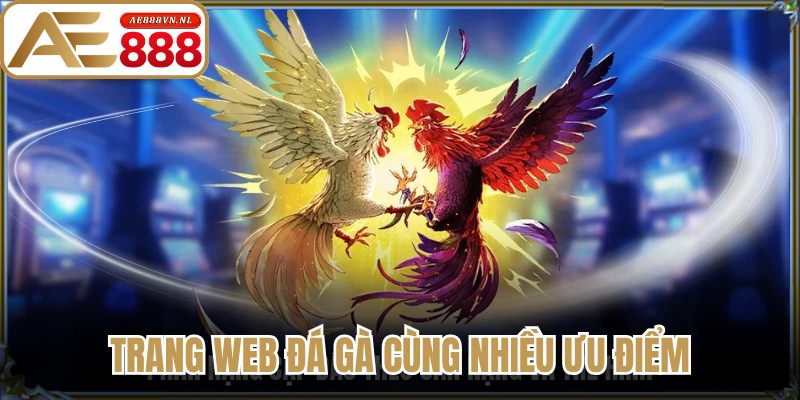 Trang web đá gà cùng nhiều ưu điểm