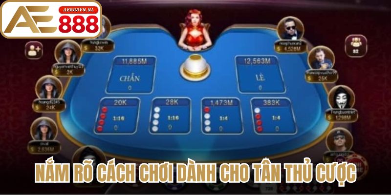 Nắm rõ cách chơi dành cho tân thủ cược